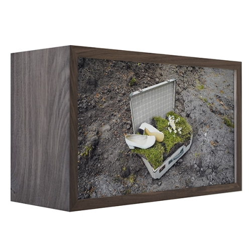 Frhlingstraum | 27 x 45 x 18 cm, lightbox (walnut wood, duratrans, led, museum glass), 2022
