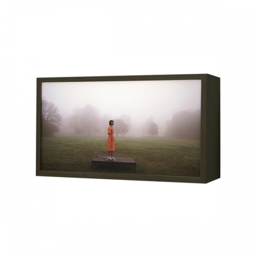 My breath evaporates | 58x33x18cm; walnutwood, duratrans, LED, museum glass, 2020