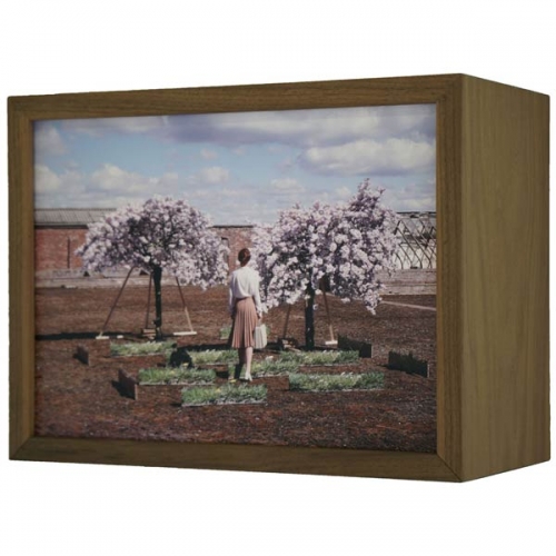 Diorama | 37x28x18 cm; walnut wood, duratrans, LED strippen, non reflecting glass; 2019