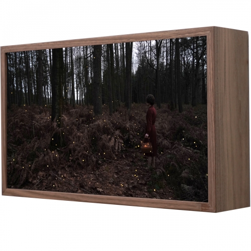 Fireflies | 35 x 59 cm, lightbox (noten fineer, duratrans, led, museumglas), 2026