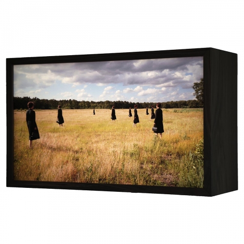 Grasveld met kraaien (Grassy field with crows) | 34cm x 57cm x 19cm; walnut wood, LED strips, duratrans, glass with no reflection; AIR Zundert 2019