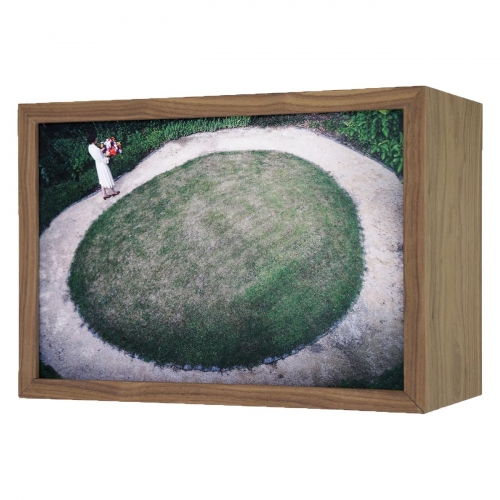 Herinnering aan een tuin | 39cm x 27cm x 19cm; noten hout, LED strips, duratrans, ontspiegeld glas; AIR Zundert 2019