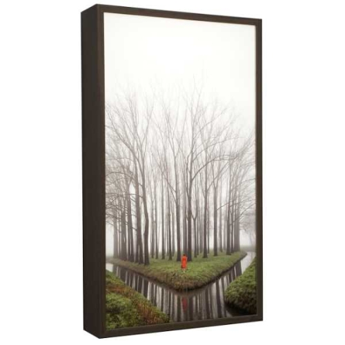 Mirror | 83 x 48 x 12 cm, lightbox (mahogany veneer, LED, duratrans, museumglass), 2022
