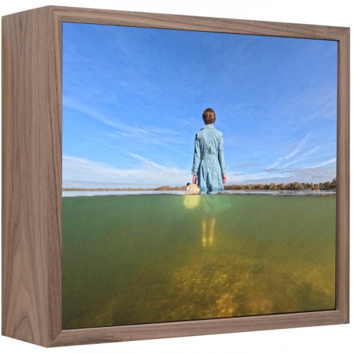 nowhere land | 36 x 41 cm, lightbox (nuts veneer, duratrans, led, museum glass)