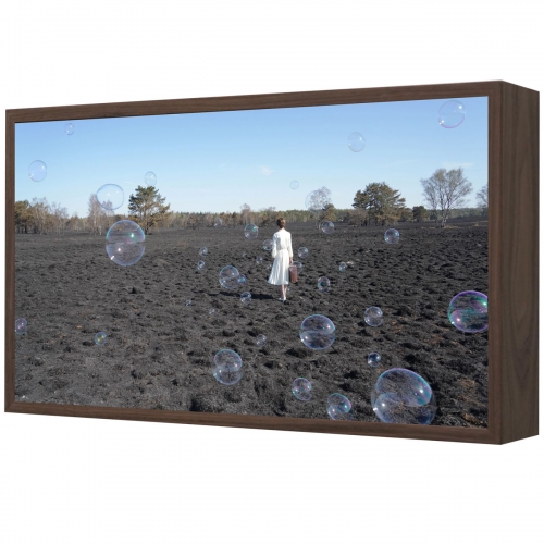 oblivion | 38 x 65 x 12 cm, Lightbox (nuts veneer, duratrans, led, museum glass), 2026