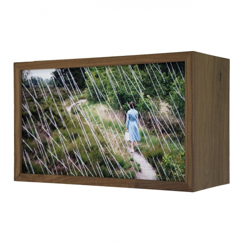 Regen op de Oude Buisse Heide (Rain at the Oude Buisse Heide)   | 27cm x 45cm x 19cm; walnut wood, duratrans, LED strips, glass with no reflection; AIR Zundert 2019