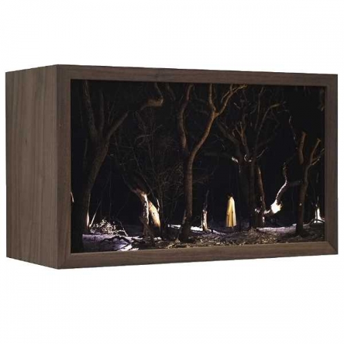 Snow White | 25x43x18cm; walnut wood, glass with no reflection, duratrans, led-strips; 2021