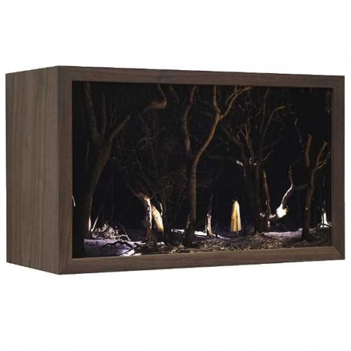 Snow White | 25x43x18 cm; notenhout, duratrans, led strips, ontspiegeld glas; 2021