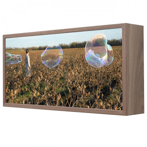 Thoughts | 33 x 68 cm, lightbox (noten fineer, led, duratrans, museumglas), 2026