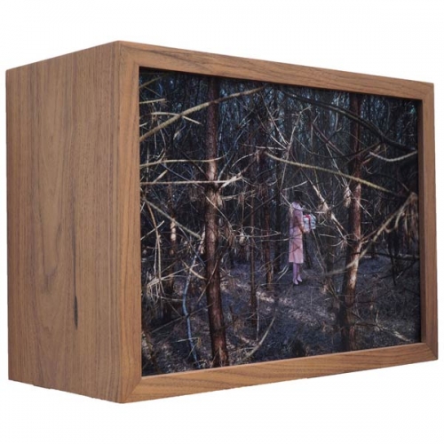 To give 2 | 28 x 37,5 x 18 cm; walnut wood, duratrans, LED strippen, non reflecting glass; 2019