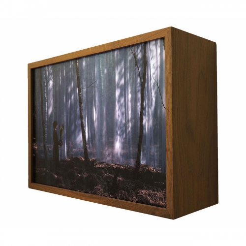 Vrouwentongen | 58cm x 39cm x 19cm; noten hout, led strips, duratrans, ontspiegeld glas; 2019