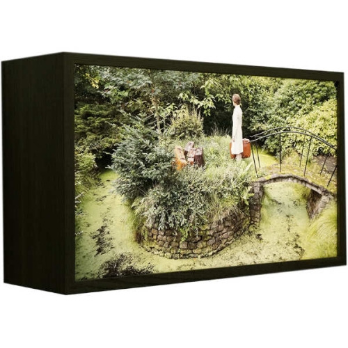 Winterreise (2)  | 35x59x18cm, lightbox (walnut wood, duratrans, led light, museum glass) 