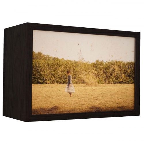 Wervelwind (Whirlwind) | 27cm x 40cm x 18cm, walnut wood, LED strips, duratrans, glass with no reflection, 2020