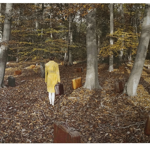 Autumn | 117 x 201 cm; gobelin; 2022