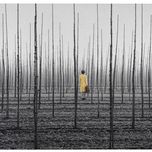 Diagram | 92x142 cm, gobelin en handgeborduurd, 2026