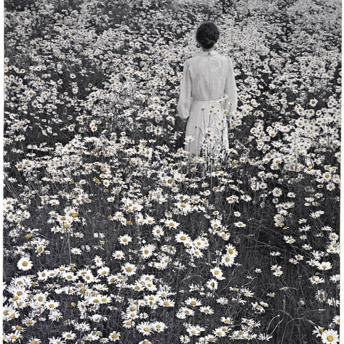 The golden hour | 83 x 148 cm, gobelin, details embroidered by hand with metallic gold thread, 2024