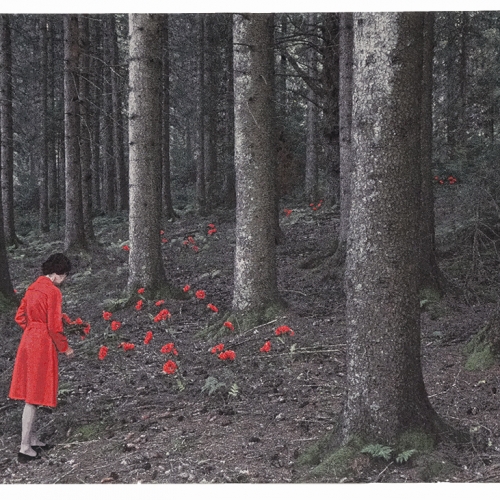 Le petit chaperon rouge | 119x196cm, gobelin, 2021