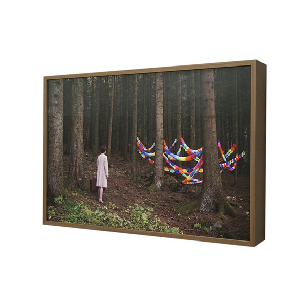 Gretel | 93x63x12cm; Lightbox (mahonie veneer, duratrans, LED, museumglas), 2020 