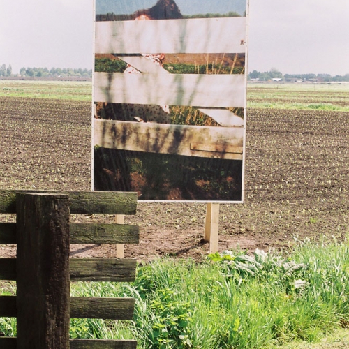 en zij wil bloemen plukken | 300cm x 200cm; print; Woerden 2003